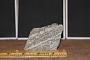 Biotite gneiss