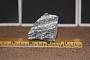 Biotite gneiss