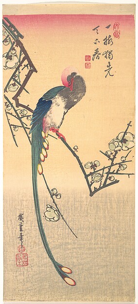 Bird on a Plum Branch