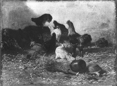 Birds