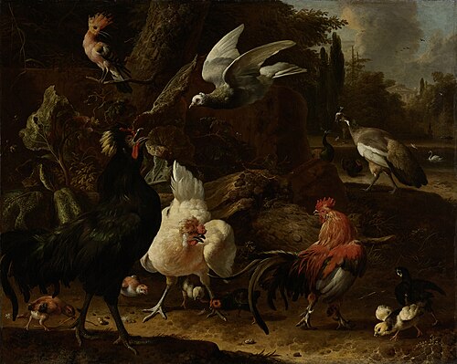 Birds in a park