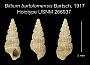 Bittium bartolomensis
