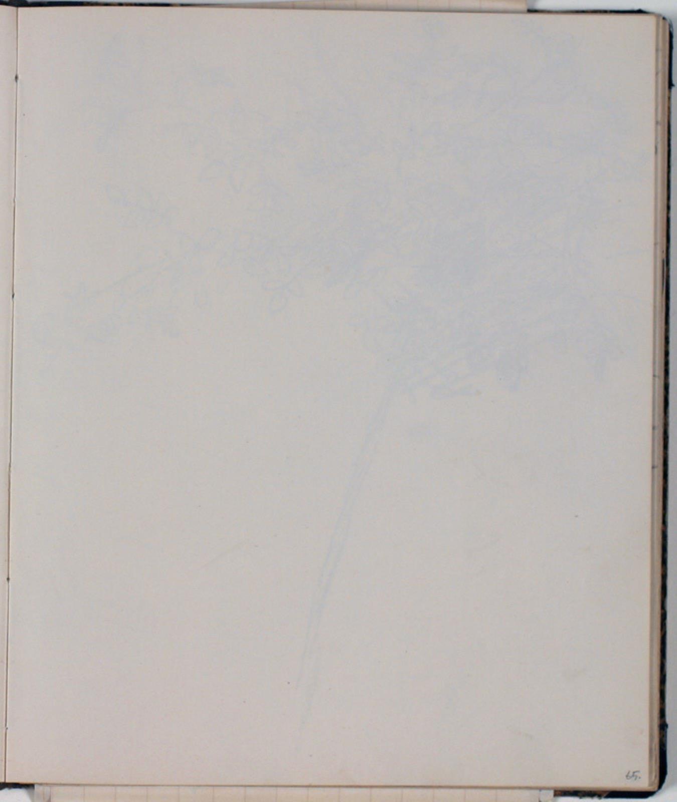 Blank