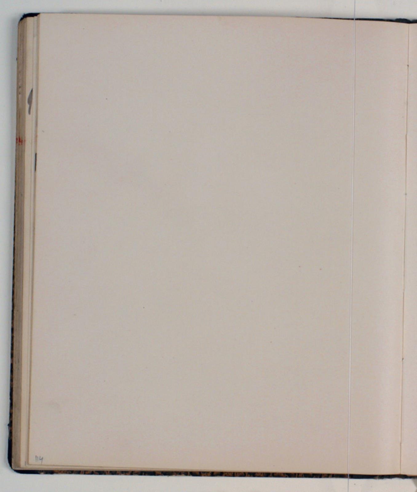 Blank