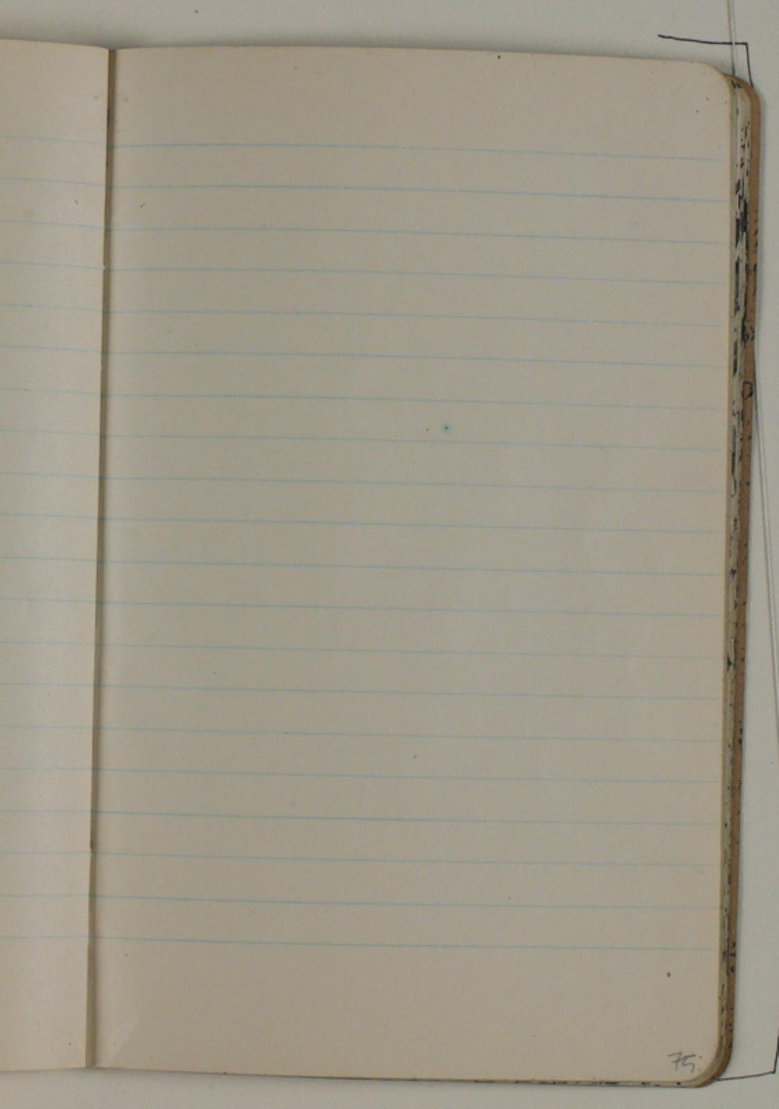 Blank