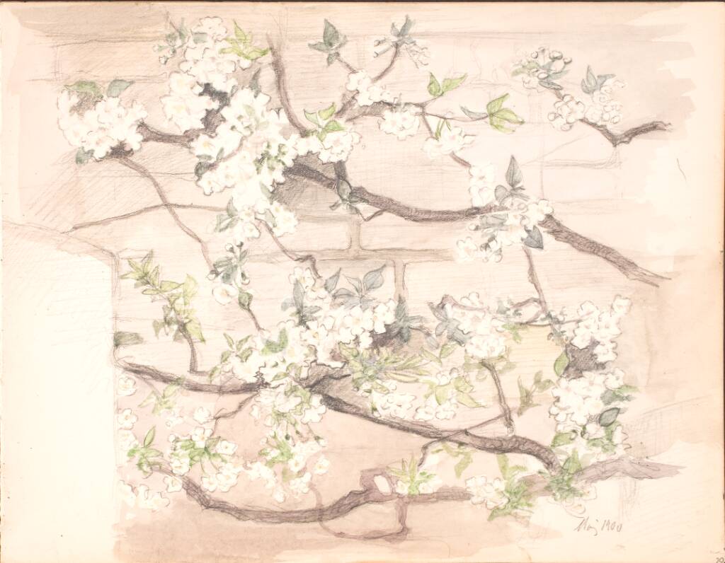 Æbleblomster