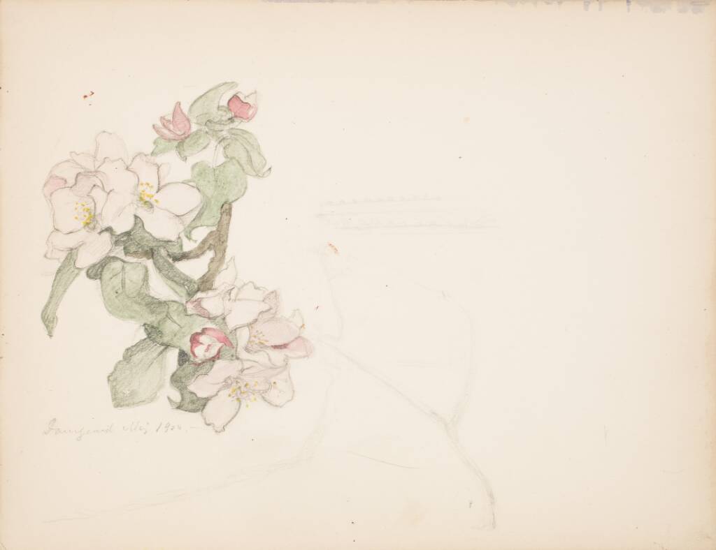 Æbleblomster
