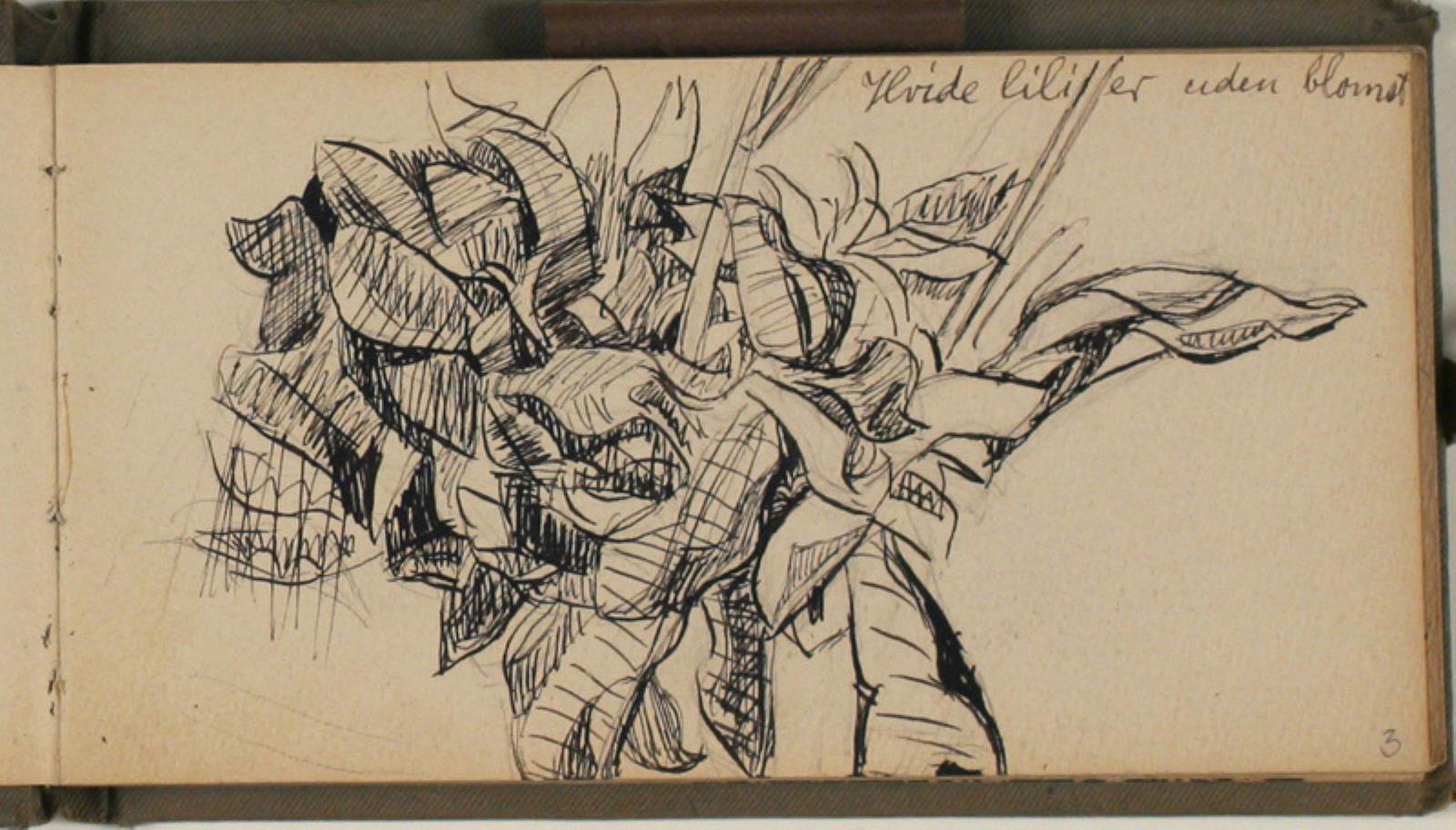 Blomsterstudier