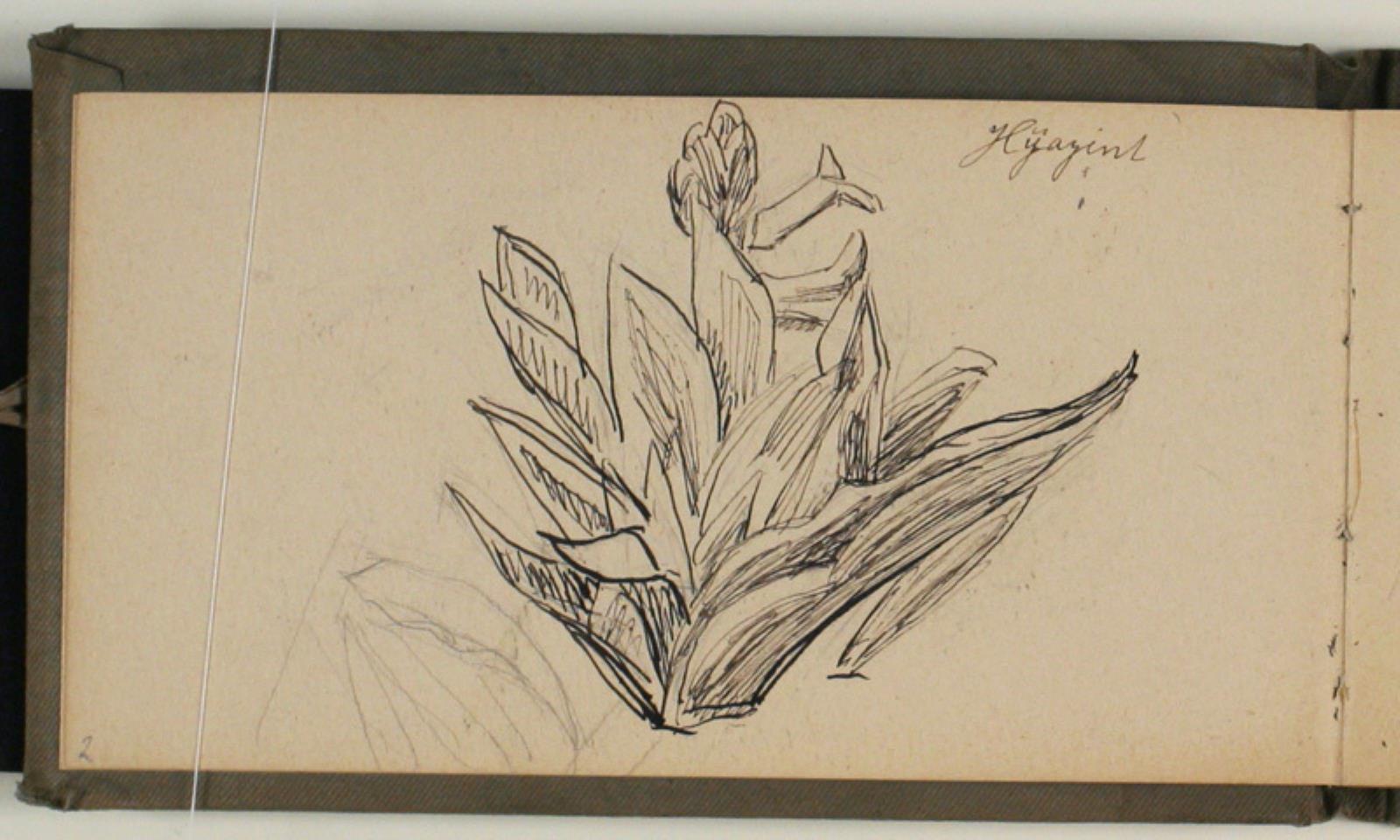 Blomsterstudier
