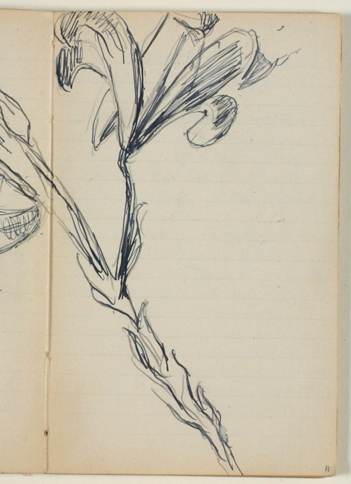Blomsterstudier