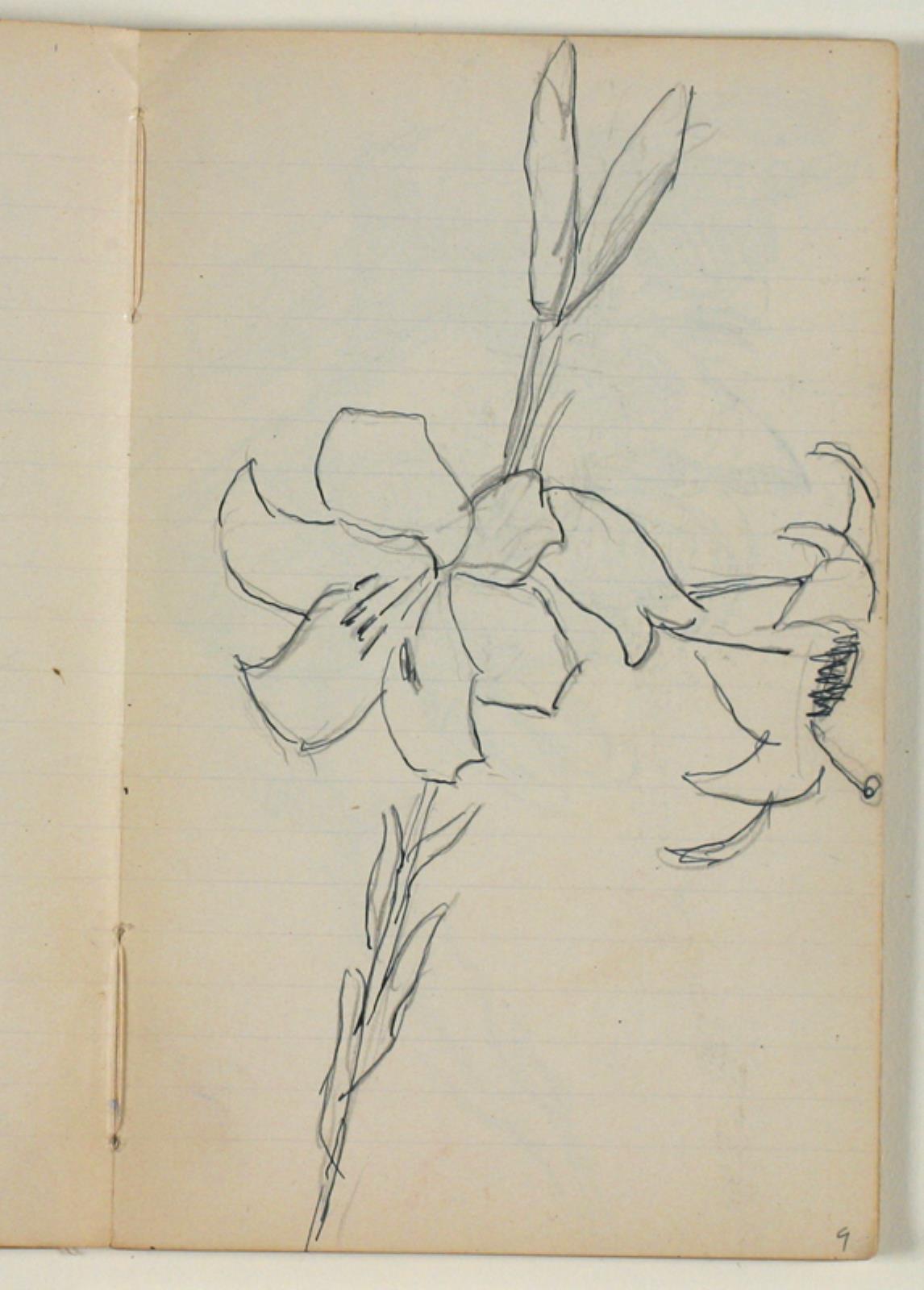 Blomsterstudier