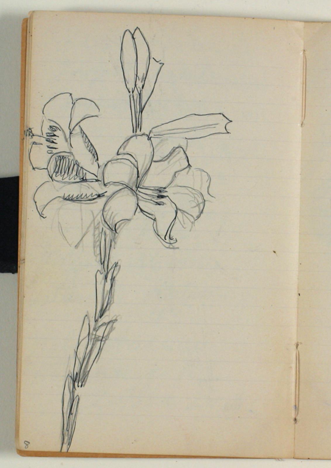 Blomsterstudier