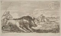 Boar Chased by a Dog