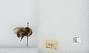 Bombus (Alpinobombus) balteatus