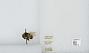 Bombus (Alpinobombus) balteatus