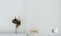 Bombus bifarius nearcticus