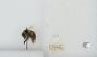 Bombus bifarius nearcticus