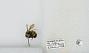 Bombus (Bombus) affinis