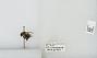Bombus (Bombus) affinis