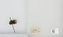 Bombus (Bombus) occidentalis