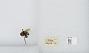Bombus (Bombus) occidentalis