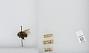 Bombus (Bombus) occidentalis