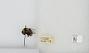 Bombus (Bombus) occidentalis