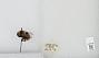 Bombus (Bombus) occidentalis