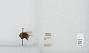 Bombus (Bombus) occidentalis