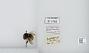 Bombus (Bombus) terricola