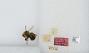 Bombus flavidus