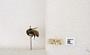 Bombus flavifrons