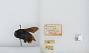 Bombus (Mendacibombus) defector
