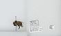 Bombus (Psithyrus) citrinus