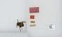 Bombus (Psithyrus) insularis