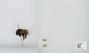 Bombus (Psithyrus) rupestris