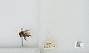 Bombus (Pyrobombus) bifarius