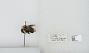 Bombus (Pyrobombus) bimaculatus