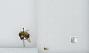 Bombus (Pyrobombus) bimaculatus