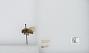 Bombus (Pyrobombus) centralis