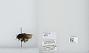 Bombus (Pyrobombus) ephippiatus