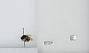 Bombus (Pyrobombus) ephippiatus