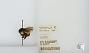 Bombus (Pyrobombus) ephippiatus