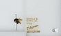 Bombus (Pyrobombus) ephippiatus
