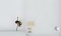 Bombus (Pyrobombus) ephippiatus