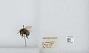 Bombus (Pyrobombus) flavifrons
