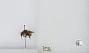 Bombus (Pyrobombus) flavifrons