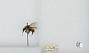 Bombus (Pyrobombus) flavifrons