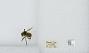 Bombus (Pyrobombus) flavifrons