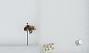 Bombus (Pyrobombus) flavifrons
